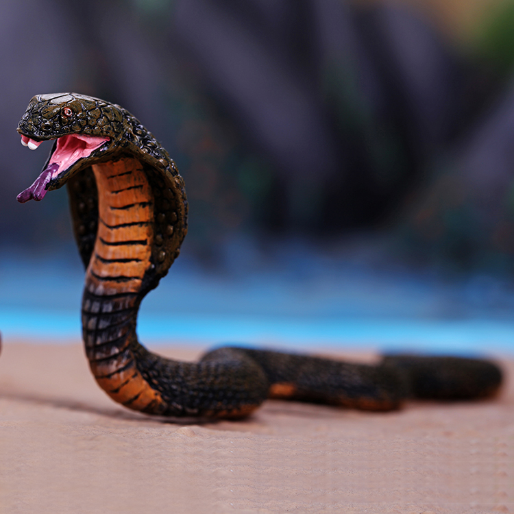 collecta 仿真动物模型 森林系列-眼镜王蛇 88230