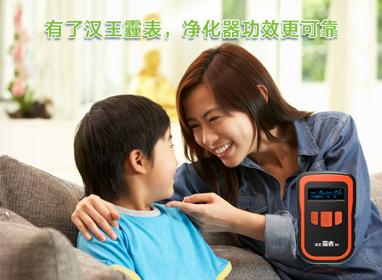 
                                        汉王（Hanvon） 霾表 M1 空气质量检测仪 PM2.5检测 雾霾检测仪                