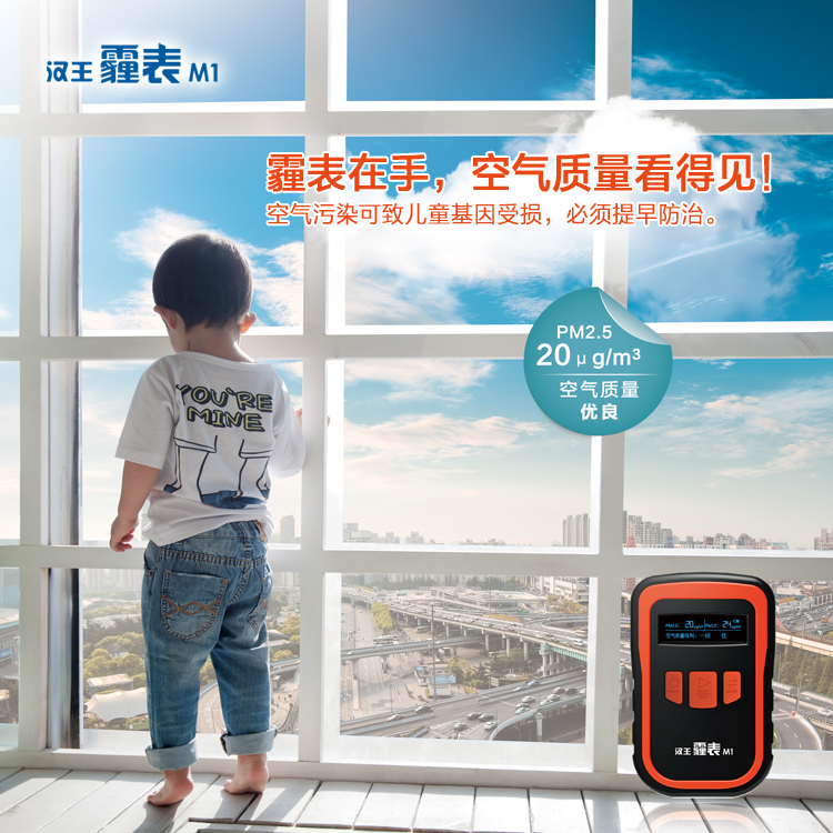 
                                        汉王（Hanvon） 霾表 M1 空气质量检测仪 PM2.5检测 雾霾检测仪                