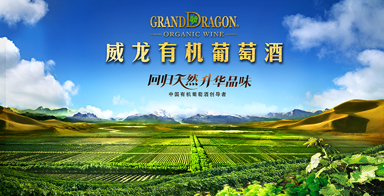 威龙95蛇龙珠 橡木桶陈酿 干红葡萄酒 750ml