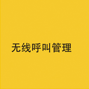 
                                                                                飞利浦（PHILIPS）无线车载蓝牙耳机单边挂耳式商务耳机双麦克风降噪苹果华为小米通用SHB1700                