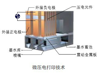 
                                        爱普生（EPSON） Stylus Photo R330 高品质商务照片打印机                