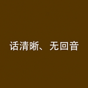 
                                                                                飞利浦（PHILIPS）无线车载蓝牙耳机单边挂耳式商务耳机双麦克风降噪苹果华为小米通用SHB1700                