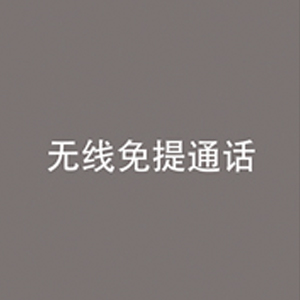 
                                                                                飞利浦（PHILIPS）无线车载蓝牙耳机单边挂耳式商务耳机双麦克风降噪苹果华为小米通用SHB1700                