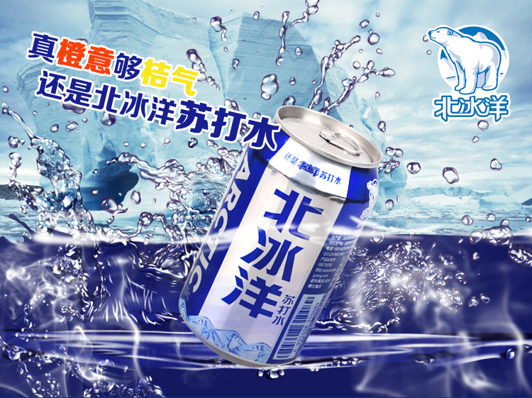 北冰洋 全新上市 苏打水 330ml*6听 箱装