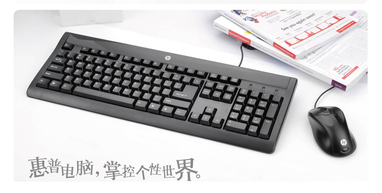 惠普（HP）WB365PA#AB2 藏羚羊二代键鼠套装（键盘PS/2，鼠标USB）