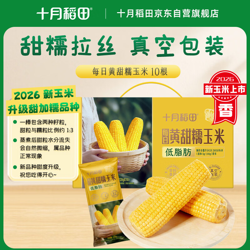 十月稻田 【新玉米·品种升级】黄甜糯玉米 10根 4.4斤 东北杂粮 粗粮礼盒