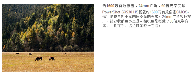 佳能（Canon）PowerShot SX530 HS 数码相机（ 1600万像素 、50倍光学变焦）单机版