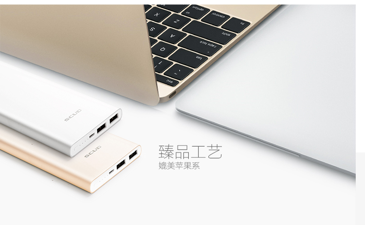 
                                        【品质联盟】 飞毛腿 10000毫安 聚合物 双USB输出 M105 移动电源/充电宝香槟金 充电套装                