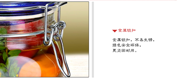 
                                        波米欧利（Bormioli Rocco）意大利进口密封罐无铅玻璃储物罐玻璃瓶 蓝盖2000mL单只装                