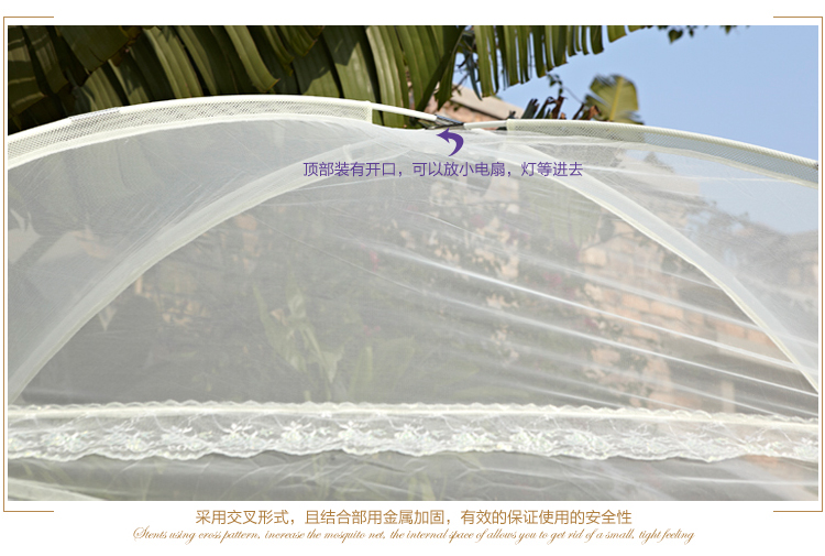 
                                        远梦（YOURMOON） 典雅型时尚休闲蚊帐 夏季蚊帐 三开门圆顶  远梦 紫粉色随机 190*150*160                
