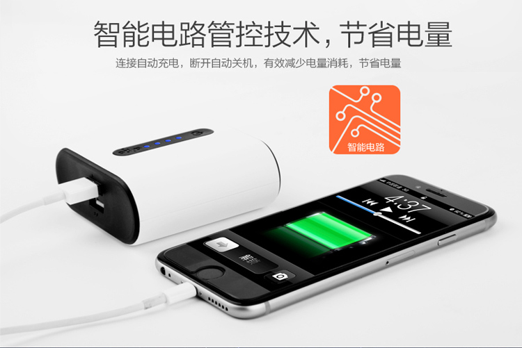 爱国者（aigo）移动电源S1 双USB10000mAh 小巧充电宝 蓝色