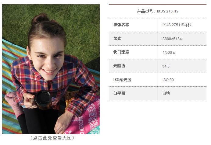 佳能（Canon）IXUS 275 HS 数码相机（2020万像素 12倍光学变焦 25mm超广角）黑色套装（16卡+相机包）