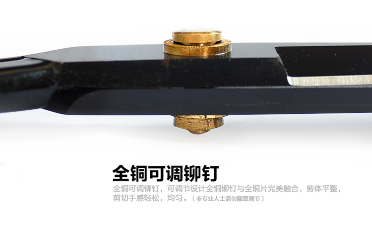 
                                        
                                        万顺号 10#裁衣剪黑金刚剪刀 JB10                