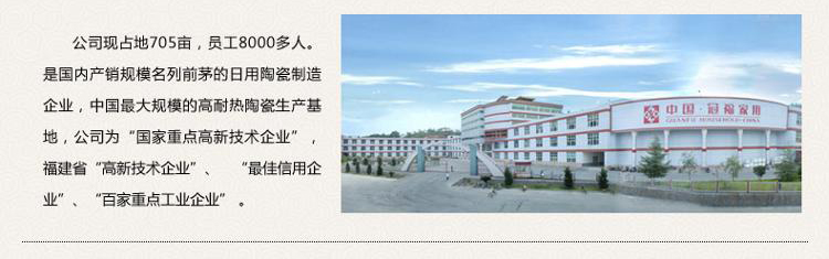 冠福花飞蝶舞25头中餐具