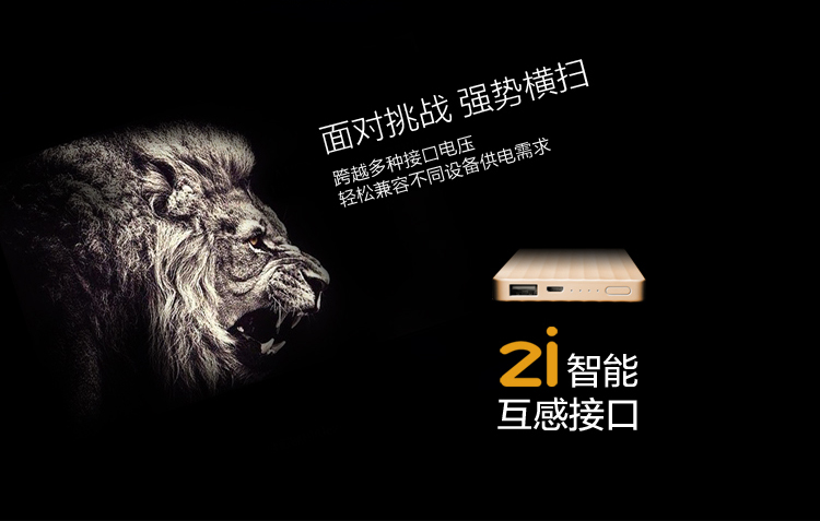 ZMI 10000毫安 移动电源/充电宝 聚合物  紫米电子 PB810 金色