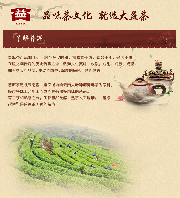 大益陈皮普洱熟茶40g中华老字号