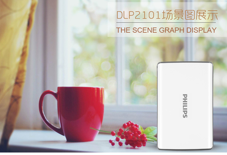 飞利浦 13000毫安 移动电源/充电宝 双USB输出 DLP2102 白色