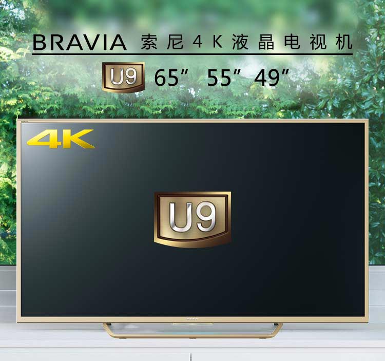 
                                        索尼（SONY）U9 49英寸4K超高清 安卓5.0系统智能液晶电视（49X8000C金色尊享版）                