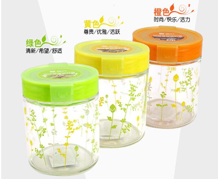 
                                        【京东超市】振兴 YH5885 印花玻璃密封罐900ml                