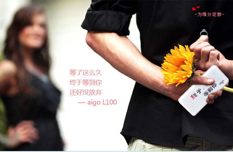 aigo 10000毫安 移动电源/充电宝 聚合物 双USB输出 L100 缘份版