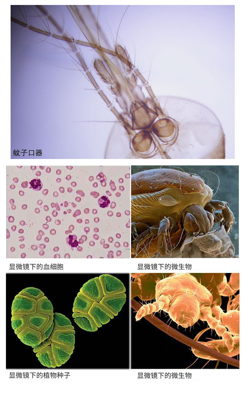 图片破损