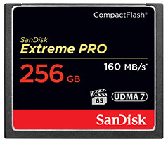 
                                        闪迪（SanDisk）至尊超极速CompactFlash存储卡 CF卡 256GB 1067X 读速160MB/s                