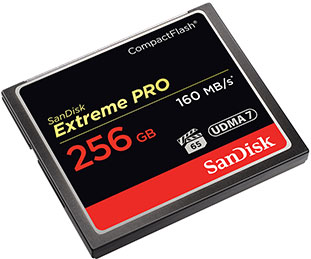 
                                        闪迪（SanDisk）至尊超极速CompactFlash存储卡 CF卡 256GB 1067X 读速160MB/s                