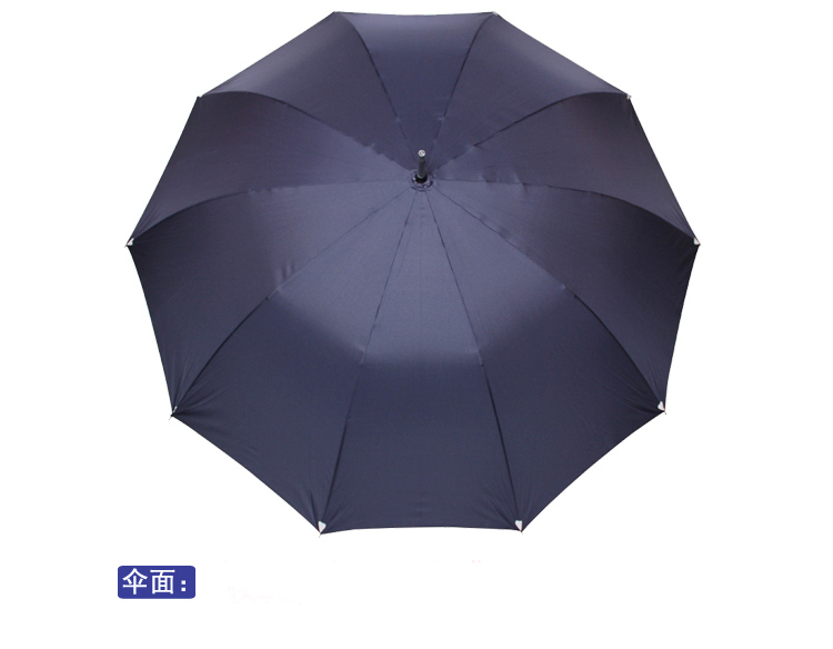 
                                        
                                                            天堂伞 直杆伞自开长柄伞晴雨伞加大2-3人经典商务伞远红外线负离子太阳伞遮阳伞76cm*10骨 藏青色                
