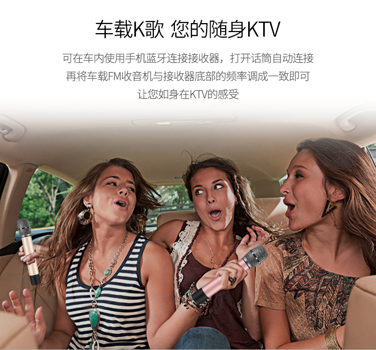 纽曼 （Newmine） MC08 汽车手机唱吧k歌动圈双麦...-京东