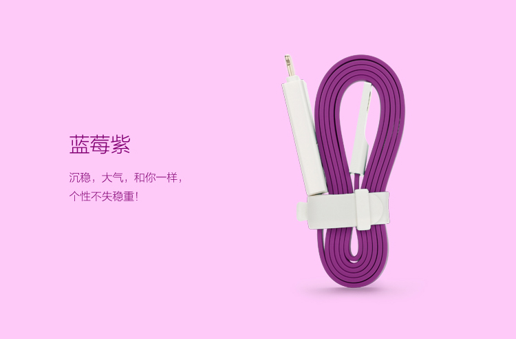 
                                        品胜 小面数据充电线 Micro USB/Lightning接口 二合一手机充电线 0.8米 湖水蓝 适用于苹果 安卓 华为 三星                