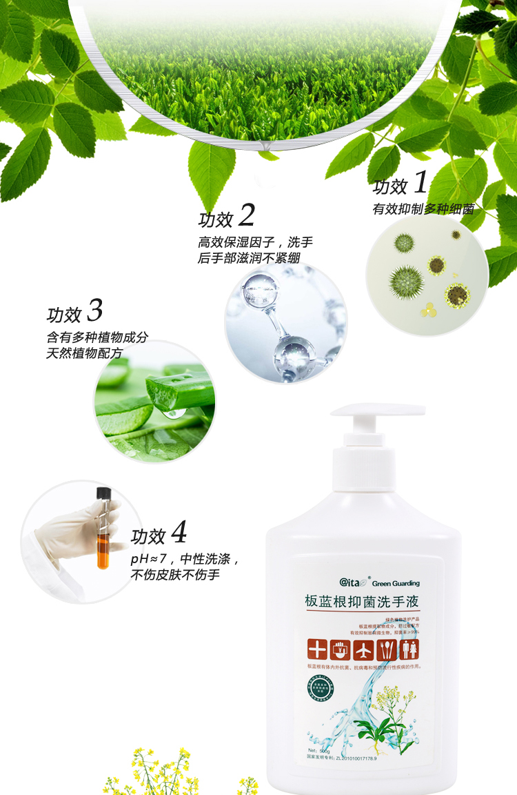 柳叶刀(the lancet)板蓝根抑菌洗手液 500g