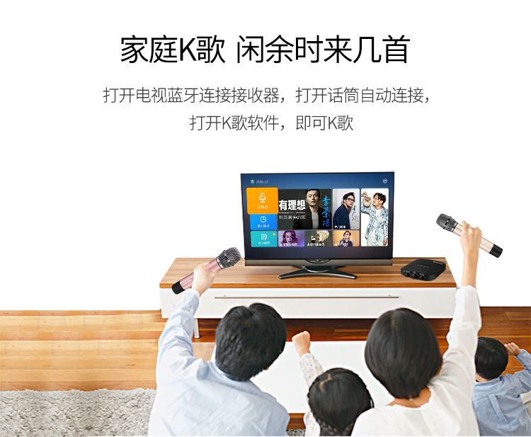 纽曼 （Newmine） MC08 汽车手机唱吧k歌动圈双麦...-京东