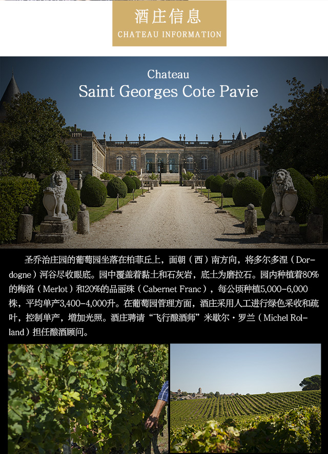 圣乔治庄园干红葡萄酒红酒2015圣爱美隆产区750ml原瓶进口