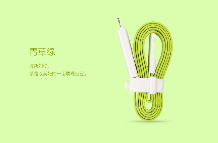 
                                        品胜 小面数据充电线 Micro USB/Lightning接口 二合一手机充电线 0.8米 湖水蓝 适用于苹果 安卓 华为 三星                