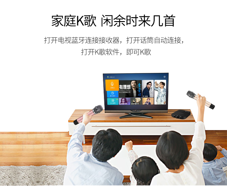 纽曼 （Newmine） MC08 汽车手机唱吧k歌动圈双麦...-京东