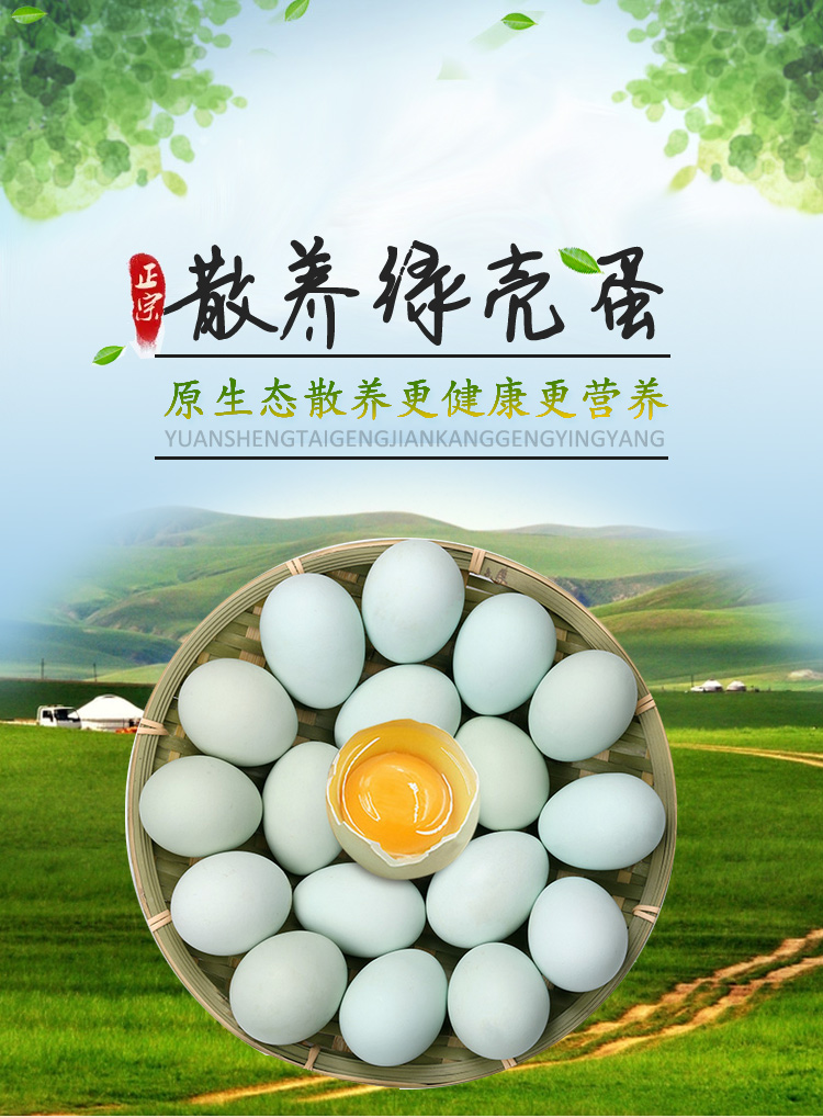 沱沱工社  散养绿壳鸡蛋 15枚/盒-京东