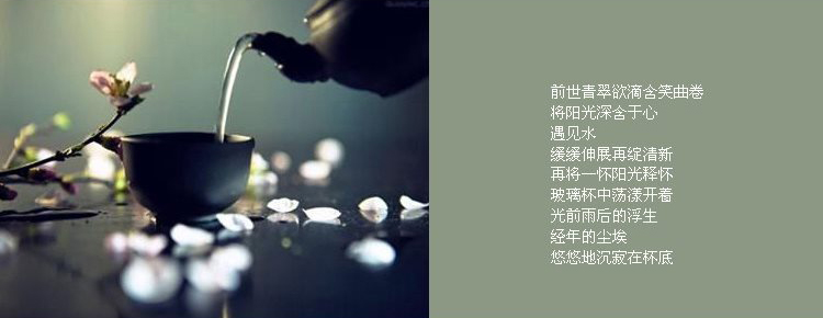 
                                        希乐 水杯泡茶杯PC杯茶杯带滤网5660                