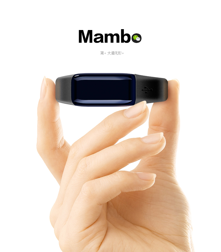 
                                        乐心 MAMBO 智能手环 来电提醒 来电显示 睡眠监测 计步 防水 专业运动手环 微信互联 标准腕带版                