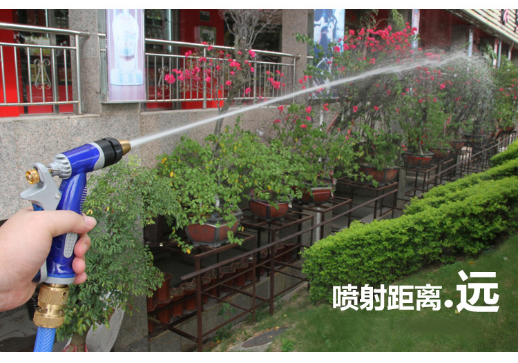 
                                                                                车旅伴高压家用洗车水枪套装 庭院清洗喷枪园艺浇花水枪 全铜喷枪头 无水管套装 蓝色 HQ-C1198                