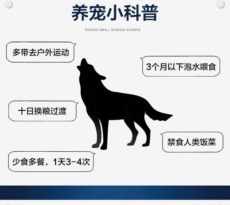 【京东JOY联名款】耐威克（Navarch）狗粮 成犬幼犬通用智利三文鱼犬粮1.5kg-京东