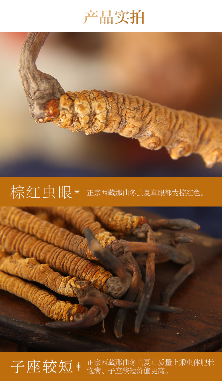 半山农 冬虫夏草 精选品质 3条/克 西藏那曲高海拔野生虫草-京东