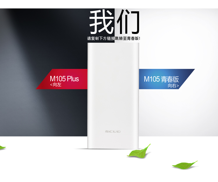 
                                        【品质联盟】 飞毛腿 10000毫安 聚合物 双USB输出 M105 移动电源/充电宝香槟金 充电套装                