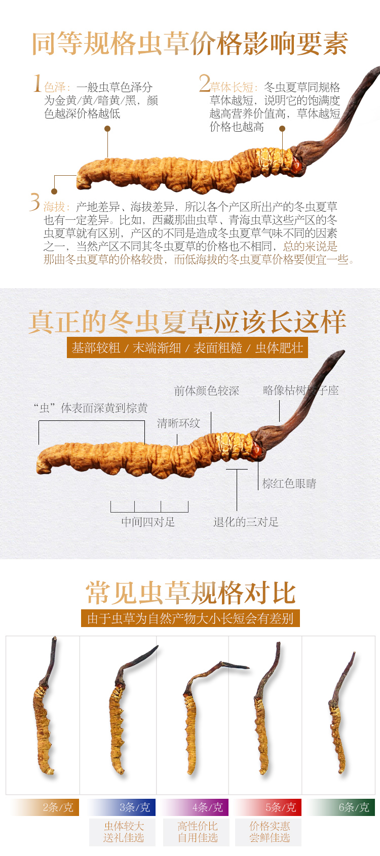 半山农 冬虫夏草 精选品质 5条/克 西藏那曲高海拔野生虫草-京东