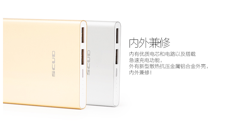 
                                        【品质联盟】 飞毛腿 10000毫安 聚合物 双USB输出 M105 移动电源/充电宝香槟金 充电套装                