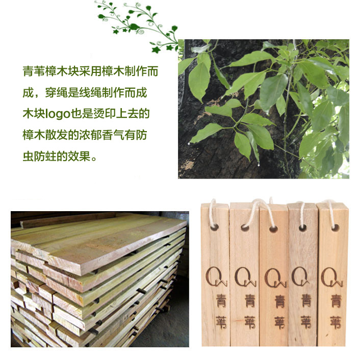 
                                        
                                        青苇 香樟木块樟脑丸驱虫防蛀除臭防潮25条                
