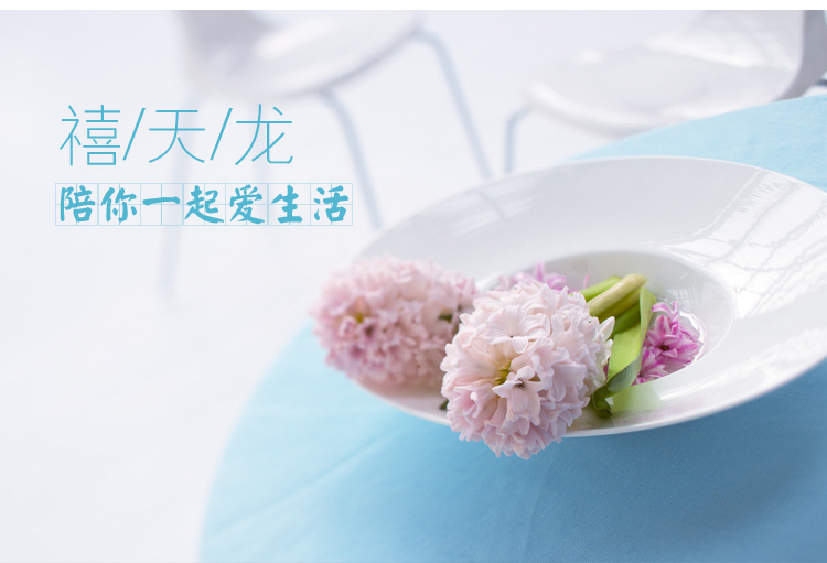 
                                        
                                        禧天龙Citylong 塑料收纳箱整理箱大号环保储物箱3个装 天蓝色60L 6063                