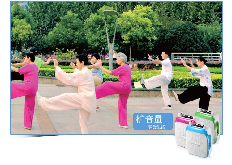 阿波罗(APORO)T7 音箱 音响数码小蜜蜂教学导游腰挂双麦克扩音器(活力蓝)