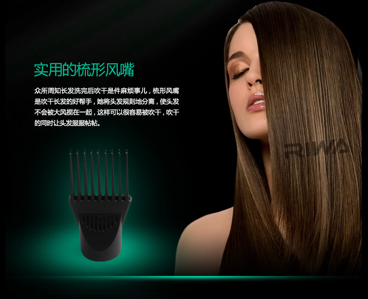 雷瓦(RIWA) 电吹风机 家用1800W 黑色RC-490A