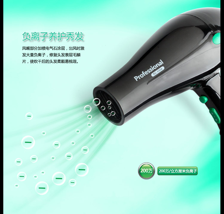 雷瓦(RIWA) 电吹风机 家用1800W 黑色RC-490A